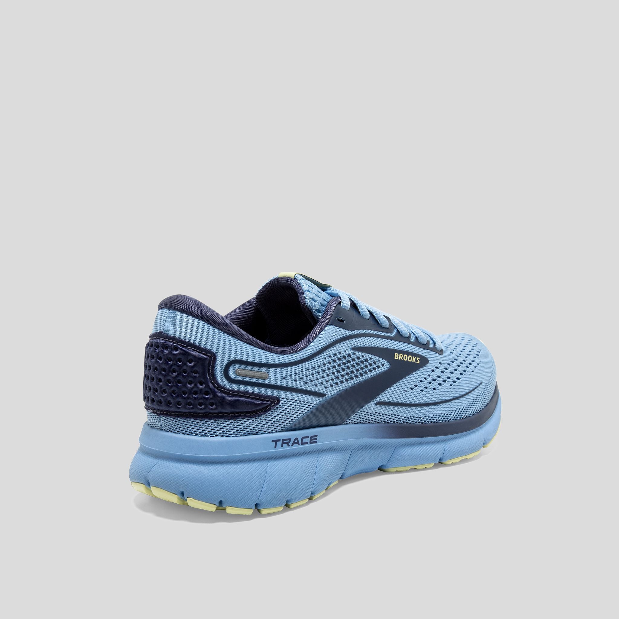BROOKS_TRACE2_484_2